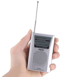 Small Portable Radio, Mini Portable FM/AM World Receiver Built in Speaker, 60 Station Preset, Support Stores Stations Automatically