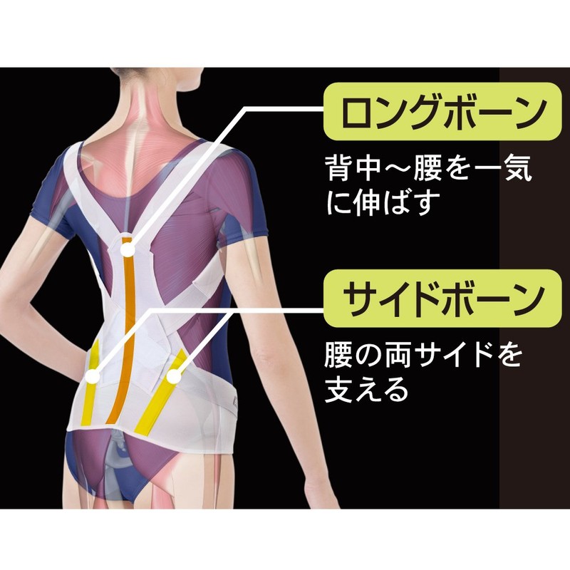 Alphax Posture Supporter, Doctor's Firm Back Belt, M-L Made in