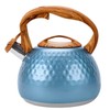 GGC Tea Kettle for Stove Top, Loud Whistling Kettle for