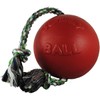Romp-N-Roll Ball