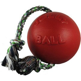 Romp-N-Roll Ball