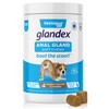 Vetnique Glandex Anal Gland Soft Chew Treats with Pumpkin for