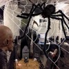 200" Halloween Spider Web & 59" Giant Spider Decorations