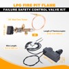 Low Pressure LPG Propane Gas Fireplace Fire Pit Flame Failure
