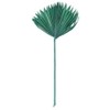 Vickerman 720141-13.75-19.5" Emerald Palm Sun Spear 12/bg (H7PSS175) Dried and