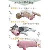 Mitsugu Mochimaru Diary Toy for Cats