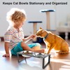 2 Set Elevated Cat Food Water Bowls, 4 Stainless Steel