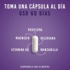 Valeriana Pasiflora Manzanilla Magnesio Lifeed Dormir Sueño
