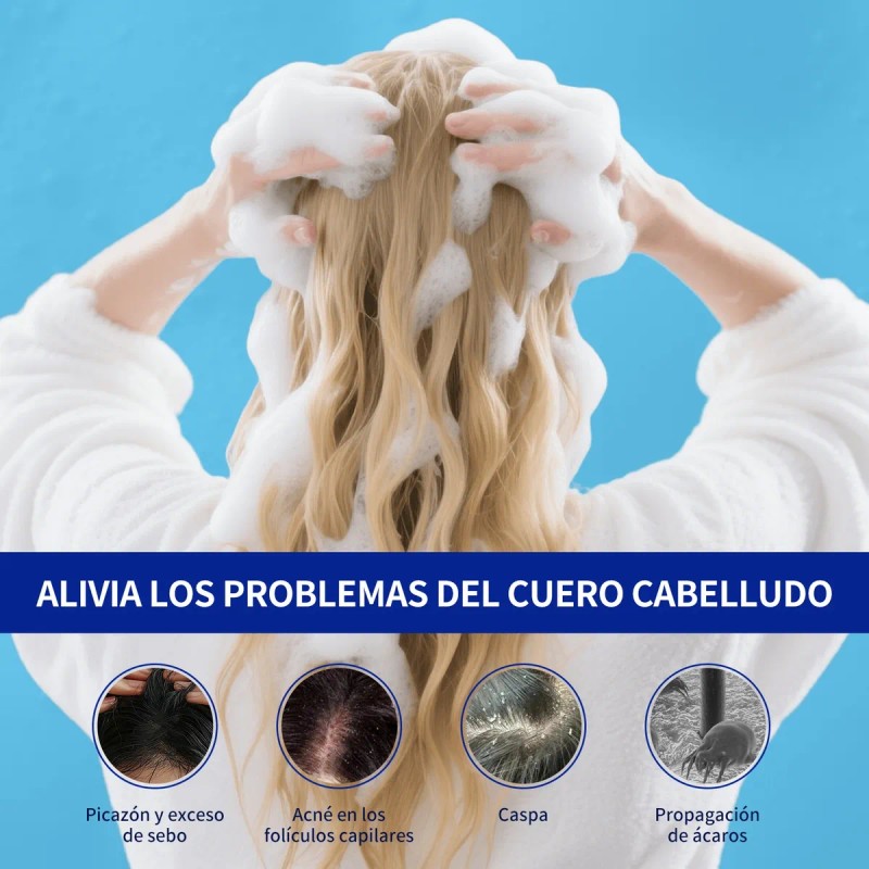 Shampoo Limpiador Para Folículos Pilosos Elimina Caspa Ypico