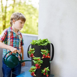 Strawberry Grow Bag 3 Gallon Hanging Tomato Planter 12 Holes Planting Bags for Vegetables Spring Gardening Tool