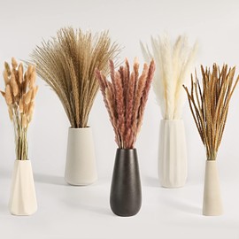 Decoración de Hierba de la Pampa Seca, 120 Piezas de Decoración para Fiesta de Bodas Casera Boho, Arreglos de Flores Secas, Hierba de la Pampa Blanca y Natural, Caña, Colas de Conejo (A)