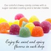 Spice Candy Gum Drops Bulk Candy - Assorted Fruit Flavor