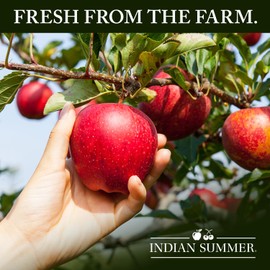 Indian Summer Premium Applesauce, Made from US Apples and American Growers (6 Pack, Cinnamon)