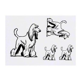 4 x 'Afghan Hound Dog' Temporary Tattoos - Water Resistant, Skin-Safe, Non-Toxic Transfers, Mixed Sizes (TO00071256)
