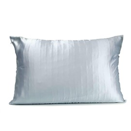Hush Silk Pillowcases Pure Mulberry Silk - Anti-Aging, Wrinkle Prevention - Cool & Hypoallergenic - Silk Pillow Cases - Machine Washable - Light Blue