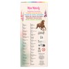Depesche Miss Melody 13369 Colouring Pencils Set with 10 Colours