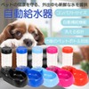I'm so happy Water Bottle, Cat, Dog, Standing Type, Water