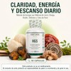 Adaptoheal HGS Melena de León, Reishi, Chaga, Shiitake y Cola