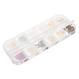 Baluue Nail Art Charms Color Shell Decorations for DIY Nail Designs Easy to Apply for Women for Parties and Special Occasions