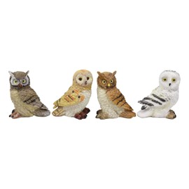 Ebros Colorful Nocturnal Owls of The World Miniature Figurine Set of 4 Whimsical Forest Owl Bird Themed Accent Snow Barn Great Horned Species Hand Painted Resin Sculptures