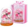 Teat Sight Preserved Flower Gift Flower Present Glass Dome Ferris