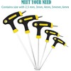 KEWAYO 5 PCS T Handle Allen Wrench Set, 2.5/3/4/5/6mm Bike