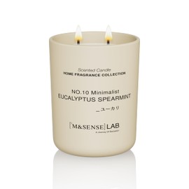 M&SENSE Natural Soy Candle| Eucalyptus Spearmint | 16.6 oz, 95H Burn | Minimalist Scented Candle for Relaxation, Gifting, Home Décor | for Bedroom, Office, Party Large