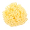 Ipetboom Gentle Honeycomb Bath Sponge for Sponge for Boy Girl