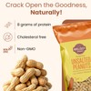 Wellsley Farms Unsalted and Roasted In-Shell Peanuts - USA Grown