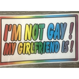 Security I’m No Gay But My Girlfriend Is Bumper Sticker Decal  3x5 “ Rainbow Pride Prank