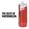 Red Bull Red Edition Energy Drink, Watermelon, with 80mg Caffeine