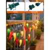 Xingzd 13.6FT Chili Pepper Outdoor String Lights, 35 LED Warm