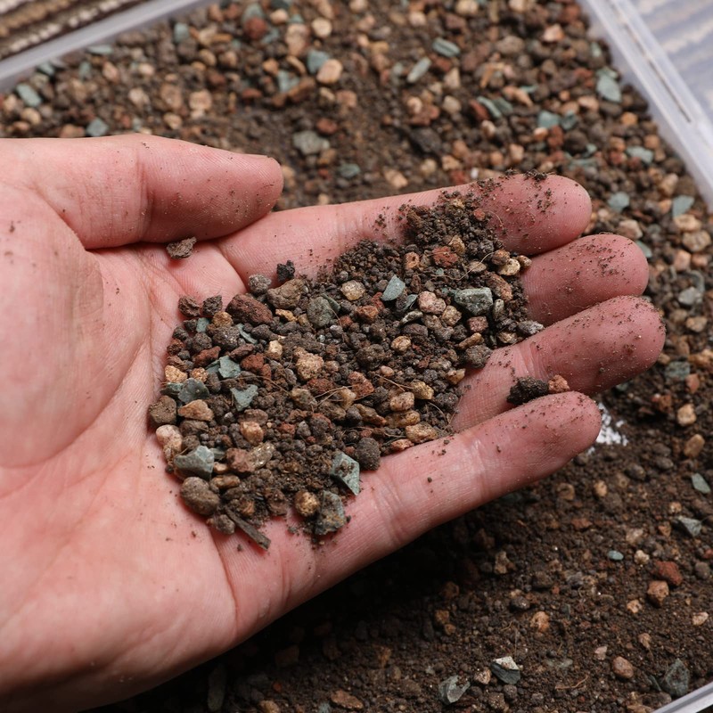 Doter Succulent and Cactus Soil Potting Mix 1.1 LBS, Bonsai