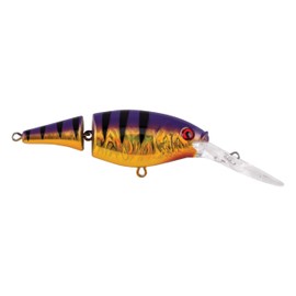 Berkley Flicker Shad Jointed Fishing Lure, Slick Purple Bengal, 1/3 oz, 2 3/4in | 7cm Crankbaits, Size, Profile and Dive Depth Imitates Real Shad, Equipped with Fusion19 Hook
