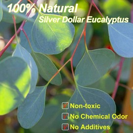 Preserved Dried Eucalyptus Stems, 7-10 Pcs Pure Natural Real Silver Dollar Leaves for Vase Filler, 15-17'' Fresh Eucalyptus Plant Branches for Wedding Home Greenery Décor (3.6oz)