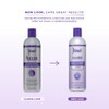 Jhirmack Silver Plus Shampoo Ageless 400 ml (Pack of 2)