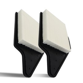 ACB ZONE Premium Engine Air Filter for My Car, Automotive Replacement Air Auto Filters for Chrysler Town & Country, for Dodge Grand Caravan, for Ram C/V, for Volkswagen Routan (2 pce)