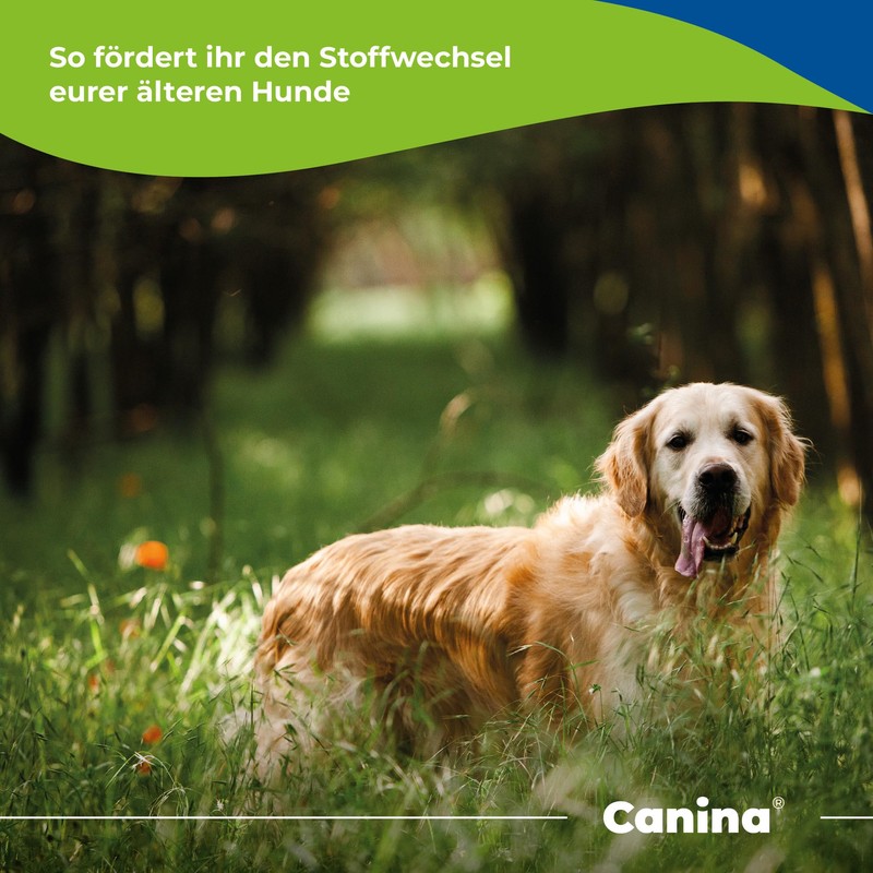 Canina Barfer's Best Senior 180g