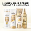 Pantene Pantene Daily Moisture Renewal 72 HR Lush Moisture Conditioner,