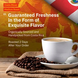 Costa Rican Ground Coffee Medium Roast - 12 oz, Single Origin Arabica Coffee Beans from Alajuela, Specialty Grade Fair Trade & Non-GMO, Sweet and Fruity Notes - Freshly Roasted To Order By Kochere
