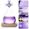 Joyzan Storm Glass Weather Predictor, Predicting Forecaster Glass Barometer Water