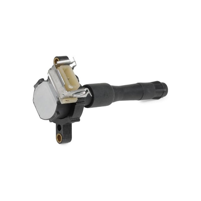 RIDEX 689C0010 Ignition Coil Ignition Coil