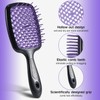 LORSEX Hair Brush, Pack of 2, Detangling Brush for Natural