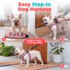 Best Pet Supplies Arnés Voyager Step-in Air de Malla para
