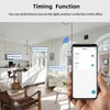 Tuya 2 Channel Updated AC 85-250V, Momentary Inching Self-Locking Relay