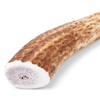 Good Lovin' Naturally Shed Large Whole Elk Antler Dog Chew