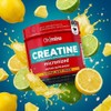 Ohmino- Complemento de Complejo de Creatina Patentado Vegano, Sin Azúcar,