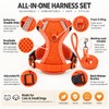 Breathable Mesh Pet Harness with Leash for Cats & Small