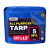 10' x 12' Blue Tarp with Grommets Reinforced - 5
