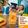 Aunt Fannie's All Purpose Wood Spray Cleaner, No-Wax Formula, Perfect